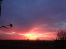 DSC01113