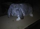 2014-01-13 22.08.33