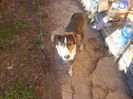 IANNIS:)