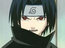 images (7)