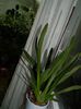 DSCN0849