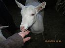 IMG_1034