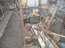 Picture 004