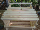 Proiect