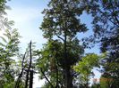 DSC04407