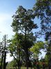 DSC04408