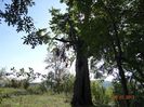 DSC04409