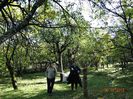 DSC04420