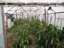 DSC04501