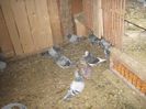 Picture 210