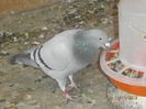 Picture 065