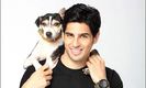 M_Id_399132_Sidharth_Malhotra