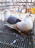 IMG_20140116_130144