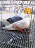 IMG_20140116_130235