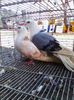 IMG_20140116_130304