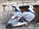 IMG_20140116_134910
