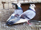 IMG_20140116_134953