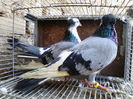 IMG_20140116_135156