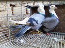 IMG_20140116_135254