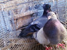 IMG_20140116_141606