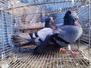 IMG_20140116_141750