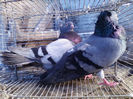 IMG_20140116_141835