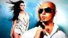 Asculta-All-The-Things-You-Do-colaborarea-dintre-Inna-si-Pitbull-audio