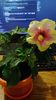 WP_20131117_001