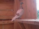 Photo-0044