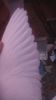 DSC03533