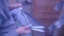 DSC03550