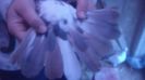 DSC03610