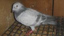 DSC03801