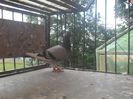 SAM_6156