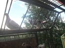 SAM_6159