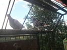 SAM_6160