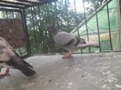 SAM_6162