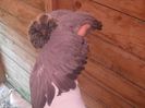 SAM_6230