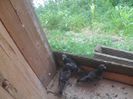 SAM_6280