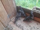 SAM_6281