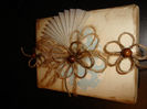 DSC01800