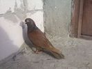 IMG_20140117_144649_949