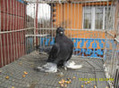 SAM_0121
