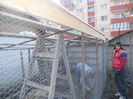 Picture 013