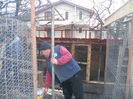 Picture 016
