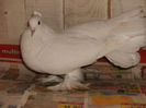 HPIM4139