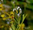 DSCN3556