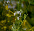 DSCN3558