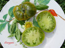 Tomate Evergreen