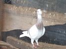 DSC03367